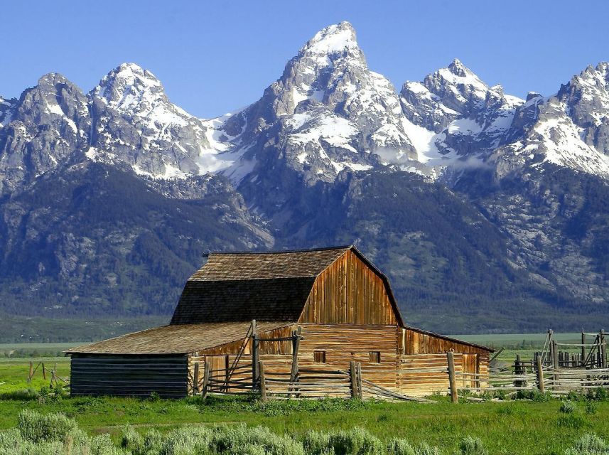 From Jackson: Half-Day Grand Teton National Park Tour - Pickup from Jackson and Teton Village