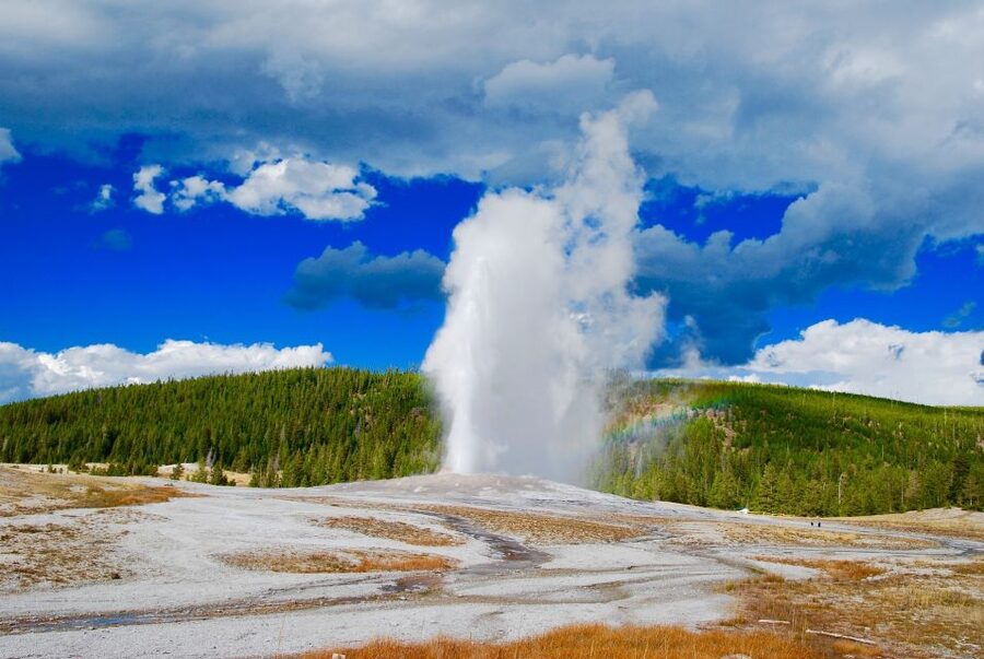 From Jackson: Yellowstone National Park Day Trip with Lunch - The essential details at a glance