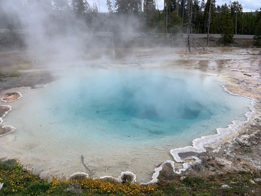 From Jackson: Yellowstone National Park Day Trip with Lunch - Why this Jackson departure works so well