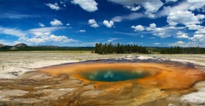 From Jackson: Yellowstone National Park Day Trip with Lunch