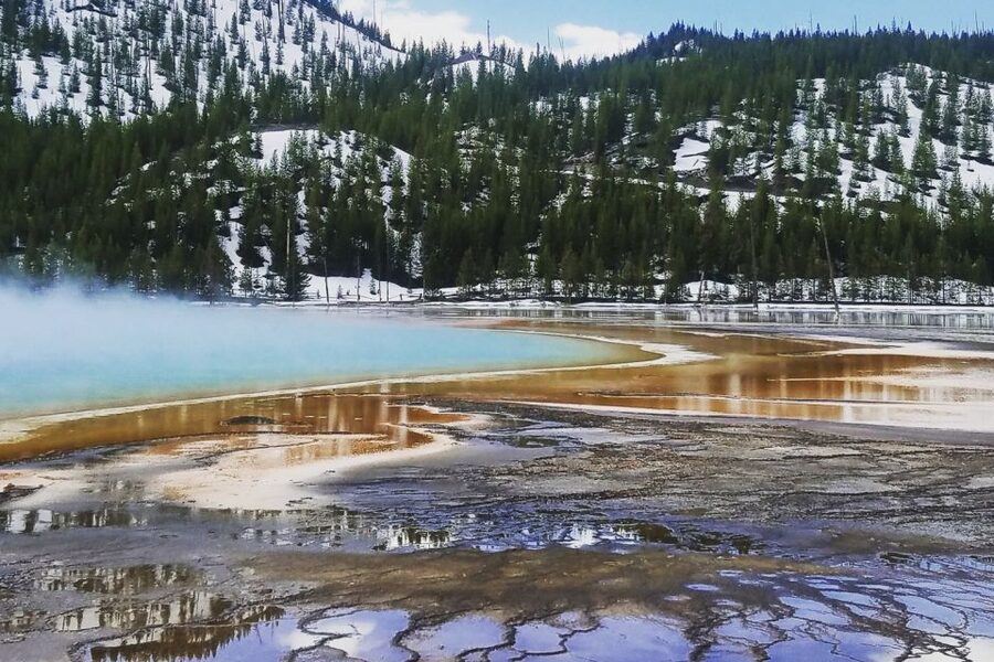 From Jackson: Yellowstone National Park Day Trip with Lunch - Old Faithful and the Upper Geyser Basin