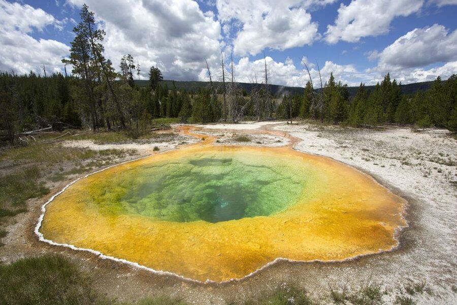 From Jackson: Yellowstone National Park Day Trip with Lunch - Firehole River Canyon, Gibbon Falls, and Virginia Cascades