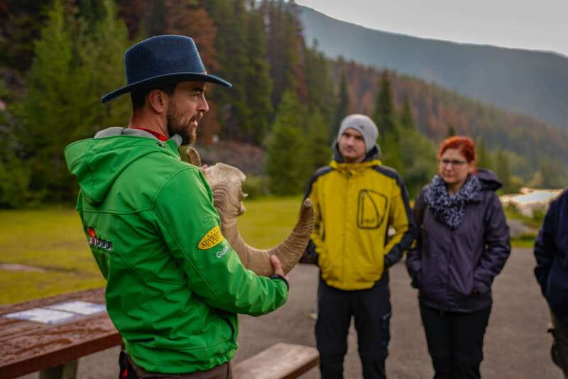 From Jasper: Jasper National Park Wildlife Discovery Tour - Key points at a glance