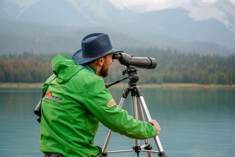 From Jasper: Jasper National Park Wildlife Discovery Tour - The Maligne Lake route and familiar roads