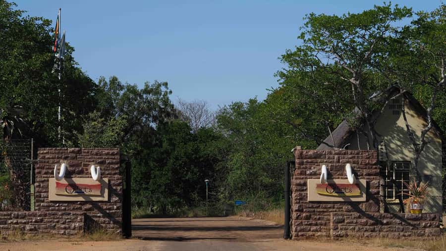 From Johannesburg: 2-Day Safari into Kruger National Park - Guides, wildlife, and the real value of the trip