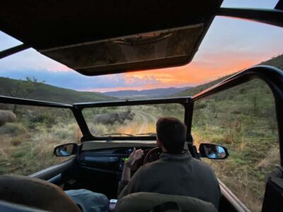 From Johannesburg: Pilanesberg Nature Reserve Game Safari