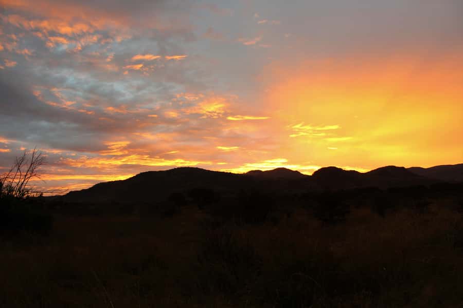 From Johannesburg: Pilanesberg Nature Reserve Game Safari - The afternoon drive and changing light