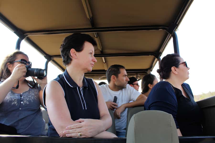 From Johannesburg: Pilanesberg Nature Reserve Game Safari - How good is the wildlife viewing?