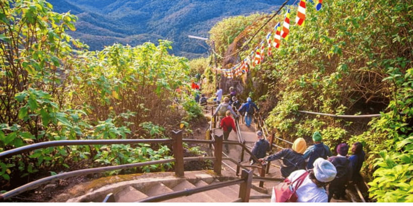 From Kandy: Adams Peak Guided hike via Peak Wilderness - What the $85 price includes