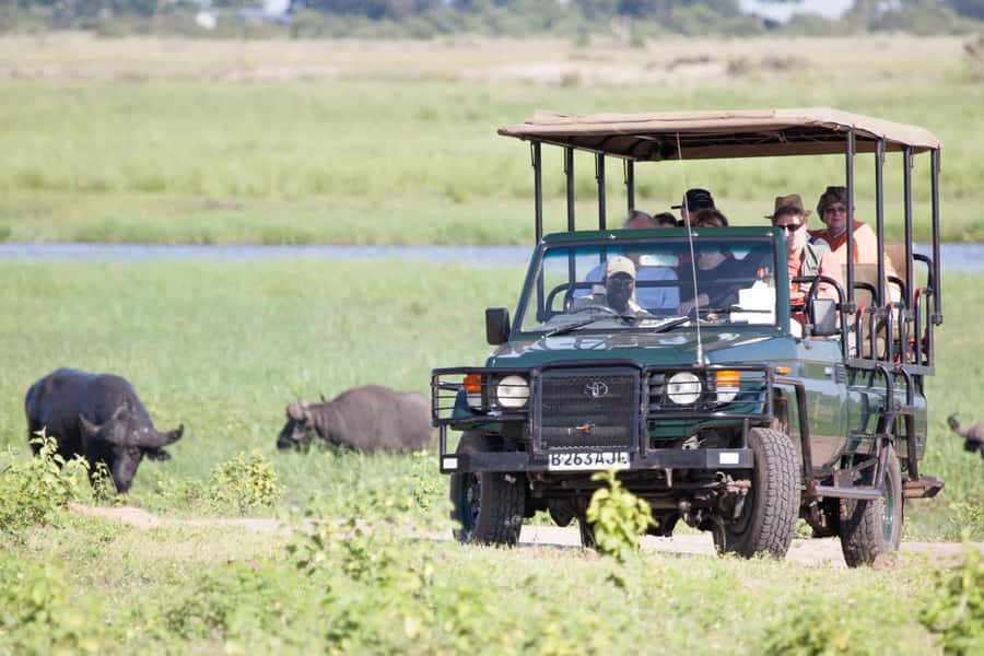 From Kasane: Chobe National Park Full Day Wildlife Safari - Who will enjoy this Chobe day safari?