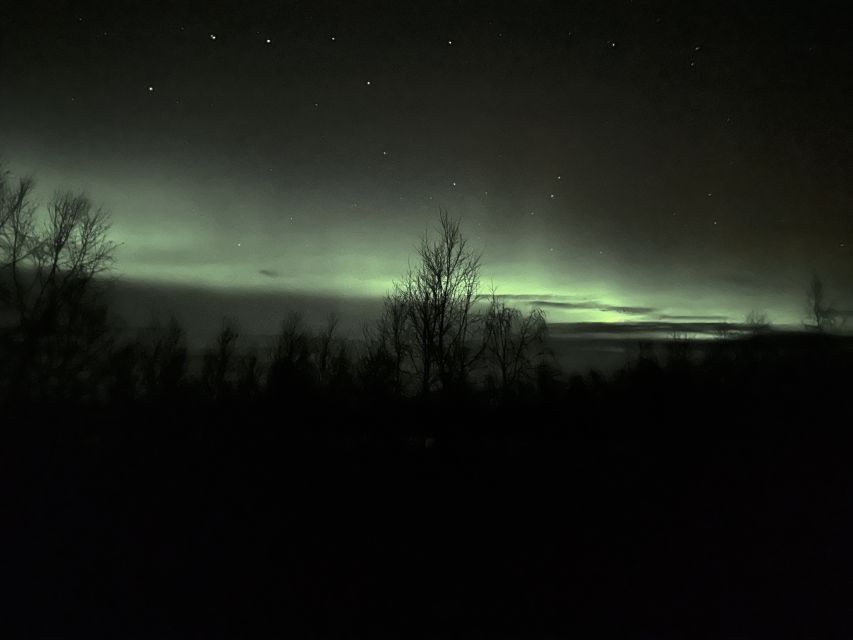 From Kiruna: Abisko National Park Northern Lights Tour - Who should book this experience?