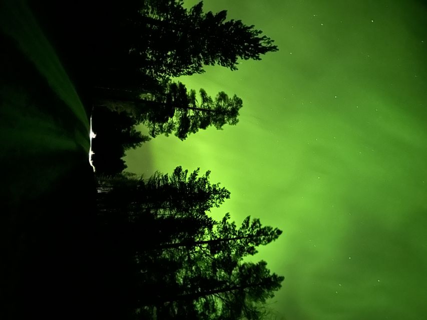 From Kiruna: Abisko National Park Northern Lights Tour - How much value do you get for $167?
