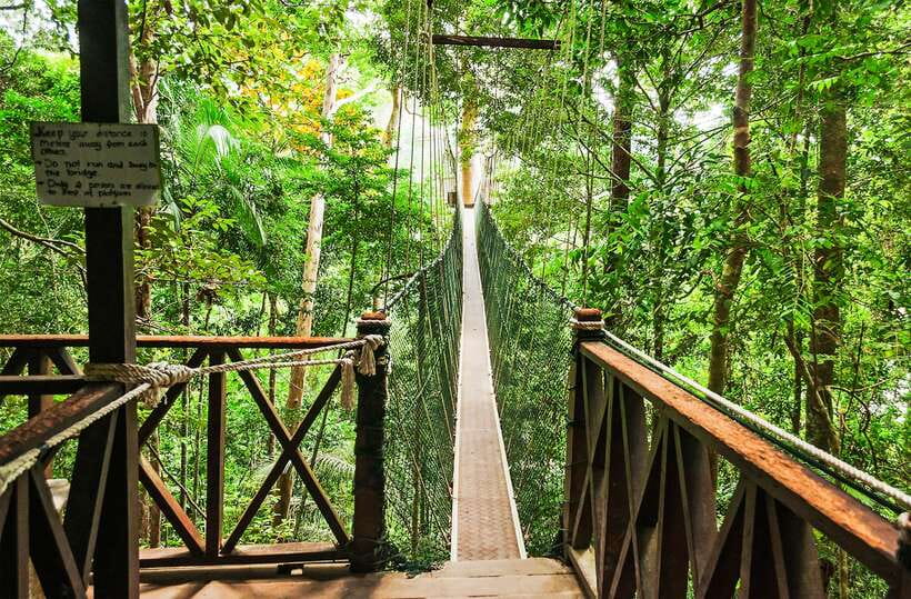 From Kuala Lumpur: Full-Day Taman Negara National Park - Leaving Kuala Lumpur at 6:00 for the rainforest