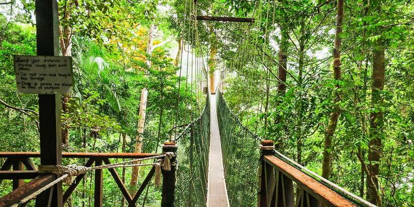 From Kuala Lumpur: Full-Day Taman Negara National Park - The guide can shape the whole day