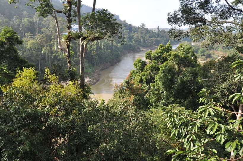 From Kuala Lumpur: Taman Negara National Park Trek Day Tour - A very long day from Kuala Lumpur