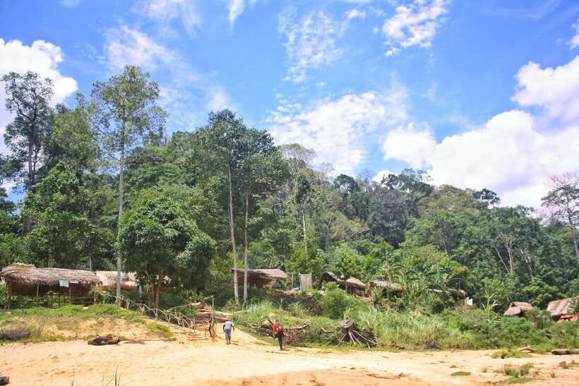 From Kuala Lumpur: Taman Negara National Park Trek Day Tour - What $177 really covers