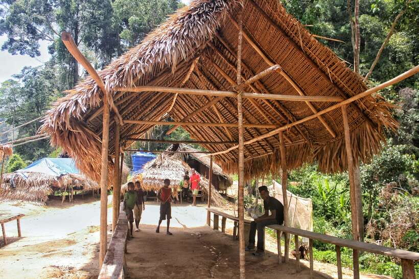 From Kuala Lumpur: Taman Negara National Park Trek Day Tour - Who should book this day trip?