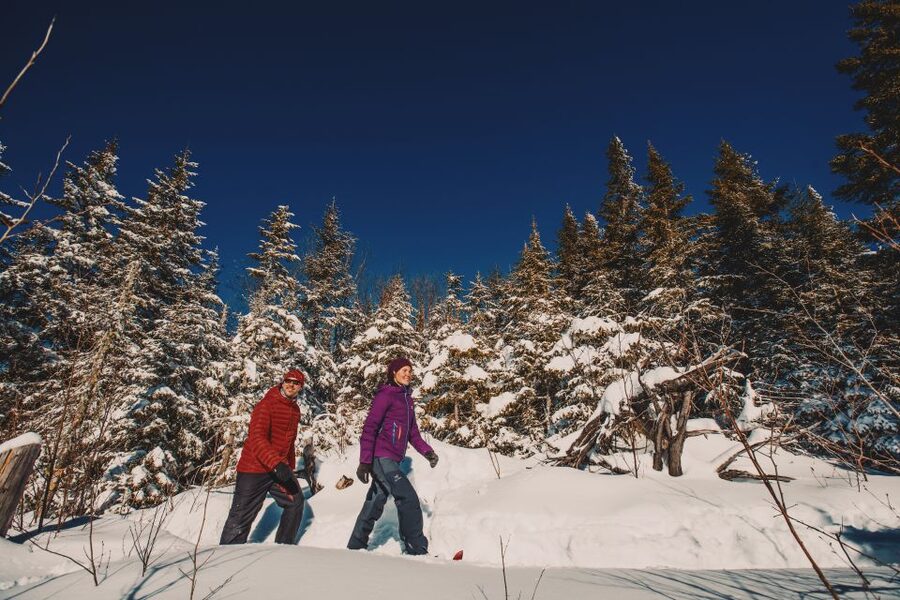 From Montreal: Mont-Tremblant National Park Hiking Day Trip - A picnic in the forest is part of the appeal