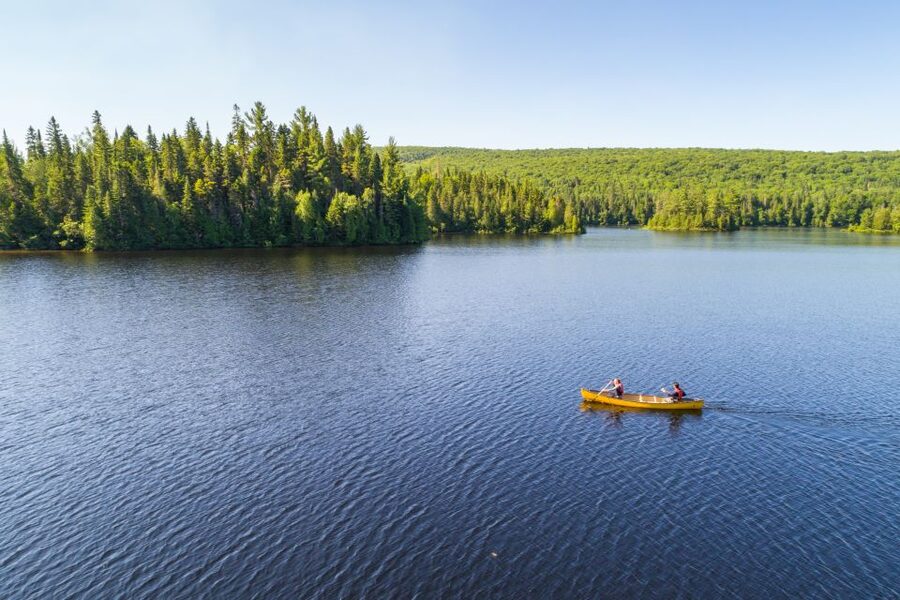 From Montreal: Mont-Tremblant National Park Hiking Day Trip - Timing, transport, and the return to Montreal