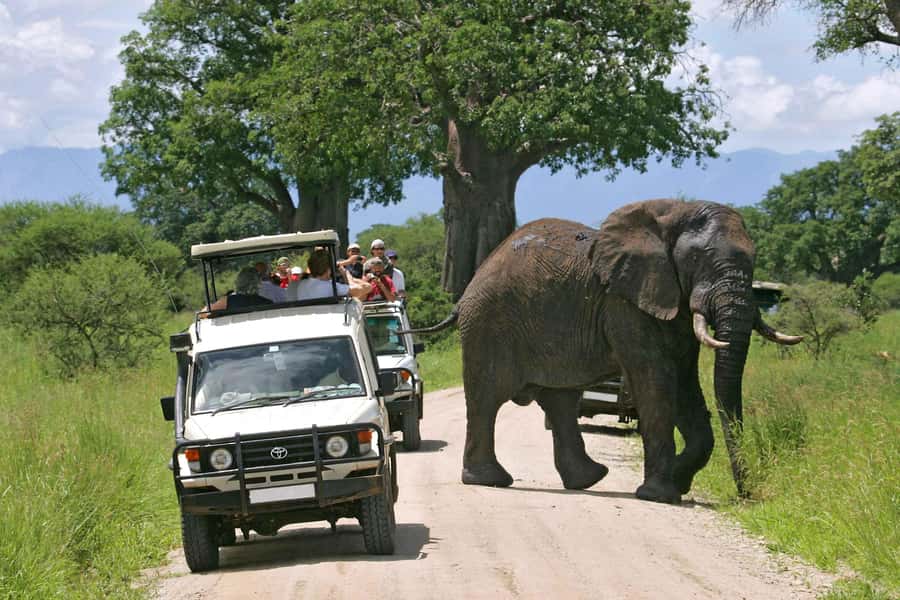 From Nairobi: 2-Day Amboseli National Park Safari - Leaving Nairobi at 7 a.m. for the Athi Plain