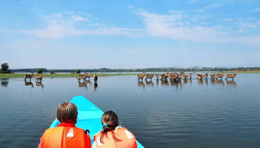 From Nairobi: Lakes Nakuru & Naivasha National Park Day Tour - Lunch is practical, not the star