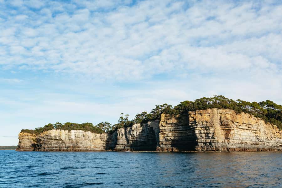 From Port Arthur: Tasman Island Wilderness Cruise - Who will enjoy this cruise most?