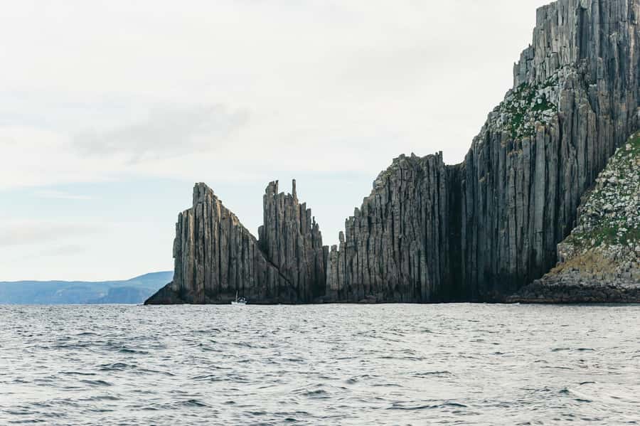From Port Arthur: Tasman Island Wilderness Cruise - Is three hours enough?