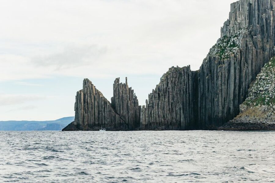 From Port Arthur: Tasman Island Wilderness Cruise - What the $127 price gets you