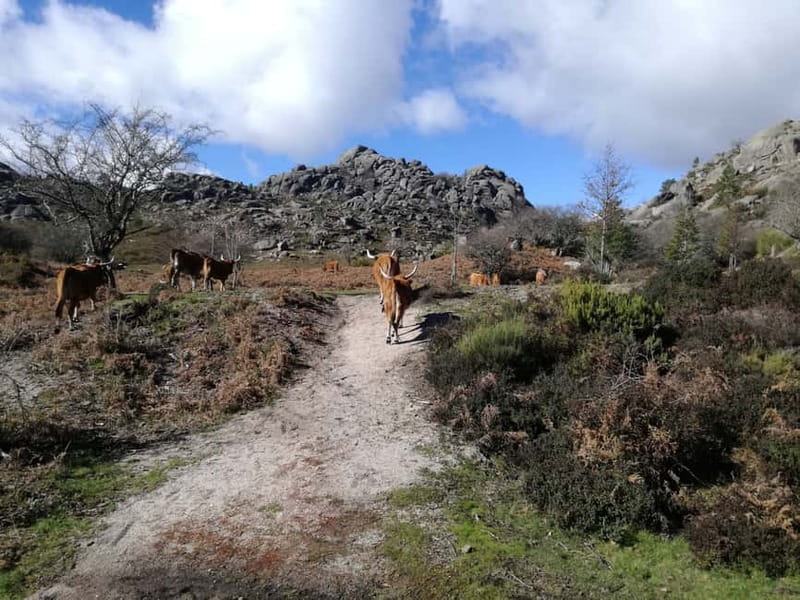 From Porto: Hike & Swim in Gerês National Park - What the first 5 kilometers feel like