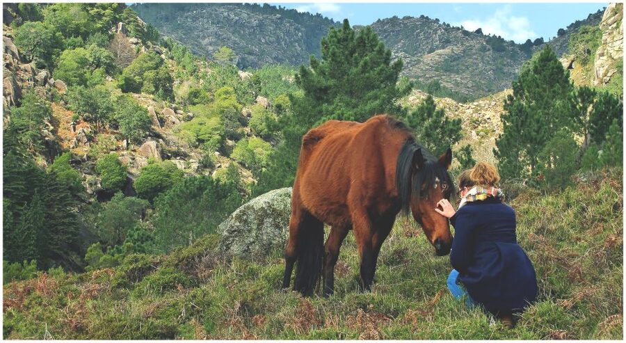 From Porto: Peneda-Gerês National Park Tour with Lunch - What $123 includes, and what it does not