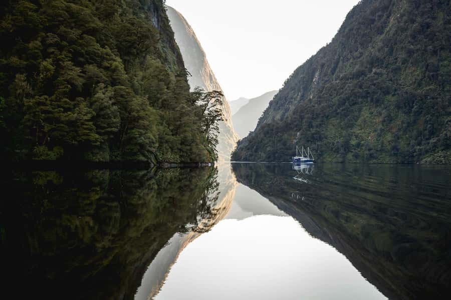 From Queenstown: Doubtful Sound Wilderness Day Trip - Wilmot Pass and Fiordland rainforest