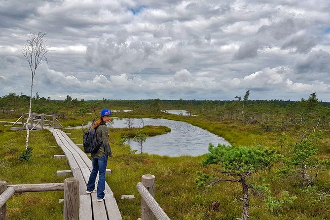 From Riga: Best of Kemeri National Park In One Day - Lake Kaņieris brings birds and open views