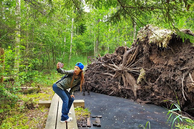 From Riga: Best of Kemeri National Park In One Day - The small group and improv approach