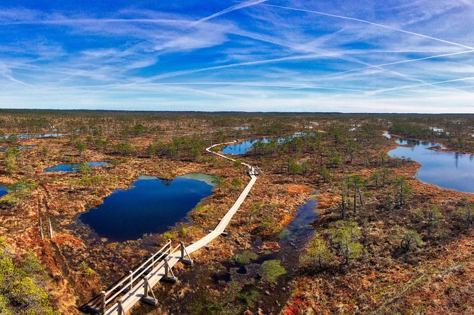 From Riga: Best of Kemeri National Park In One Day - What the $235.33 price really buys you