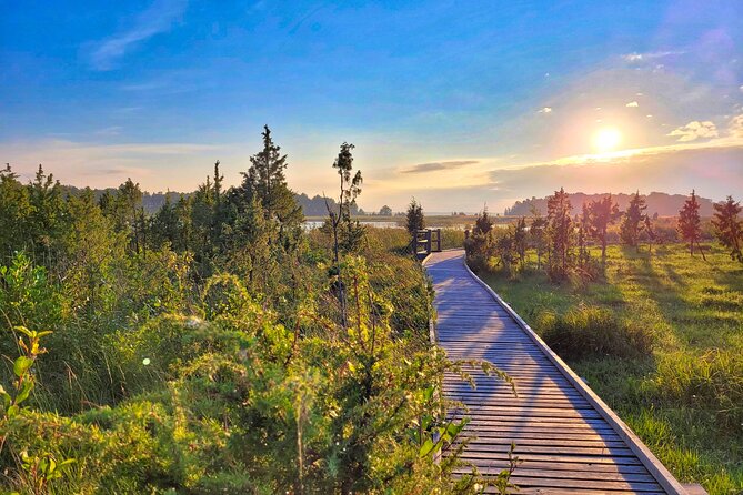 From Riga: Best of Kemeri National Park In One Day - Timing, pickup, and practical planning