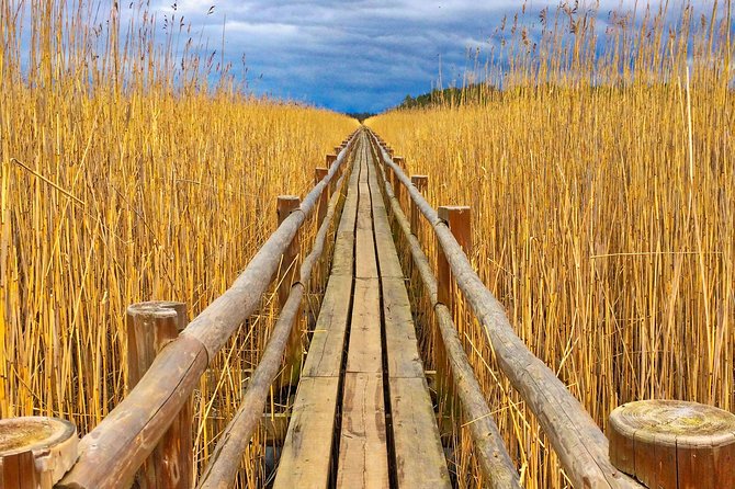 From Riga: Best of Kemeri National Park In One Day - The Great Kemeri Bog Boardwalk sets the tone