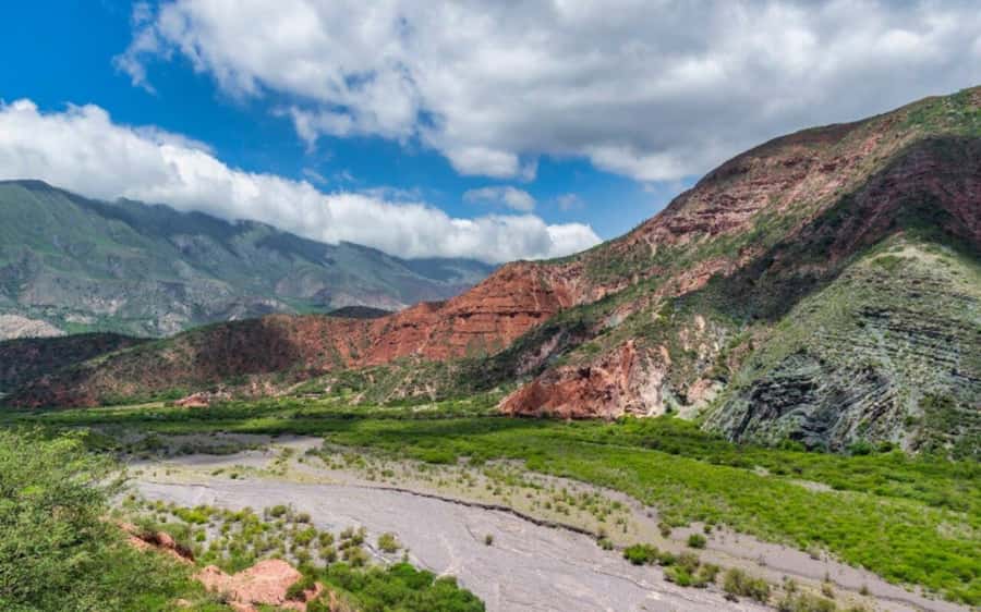 From Salta: Cachi and Los Cardones National Park Tour - From Salta’s farms to the Escoipe Gorge