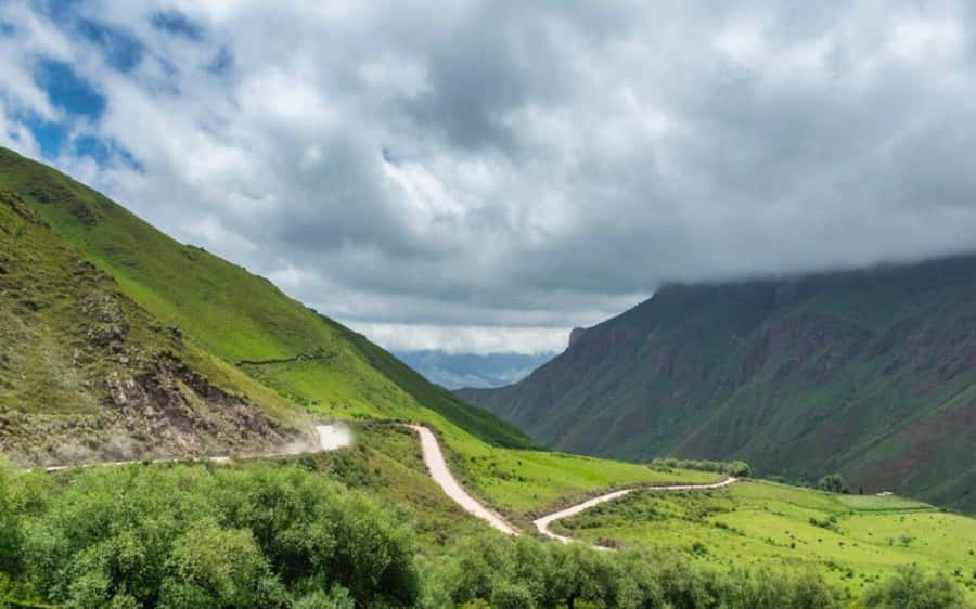 From Salta: Cachi and Los Cardones National Park Tour - The straight road built by the Incas