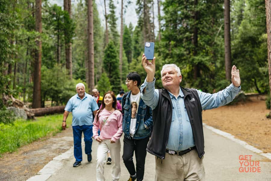 From San Francisco: Yosemite National Park Guided Day Trip - Three hours in Yosemite Valley