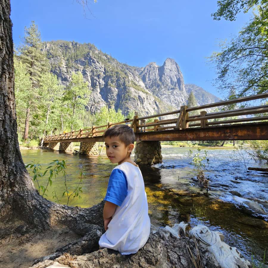 From San Francisco: Yosemite National Park Guided Day Trip - Who will enjoy this day trip most?