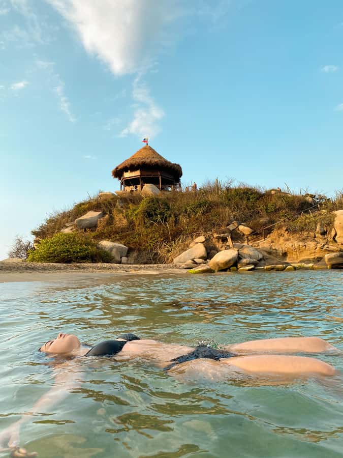 From Santa Marta: Tayrona National Park Guided Tour - Entering the park and beginning the forest trail