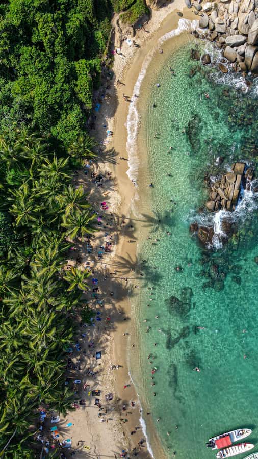 From Santa Marta: Tayrona National Park Guided Tour - Who should book this Tayrona day trip?