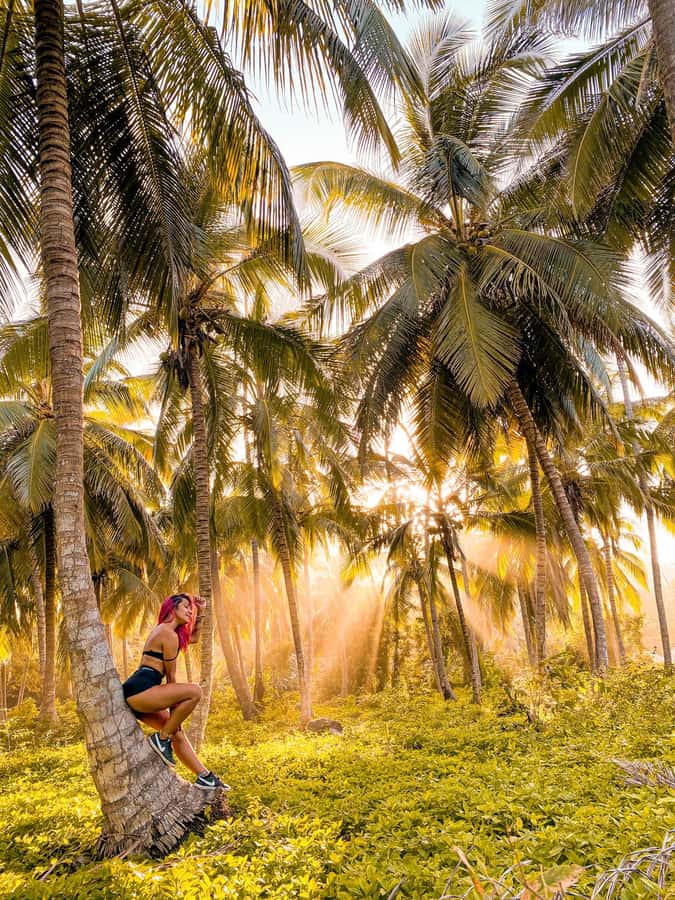 From Santa Marta: Tayrona National Park Guided Tour - The early bus ride from Santa Marta