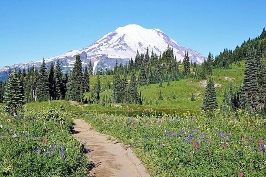 From Seattle: Full-Day Mt Rainier National Park Tour - Key points to know before booking
