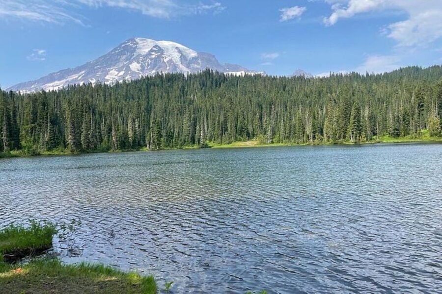 From Seattle: Full-Day Mt Rainier National Park Tour - Why this Mount Rainier day trip works