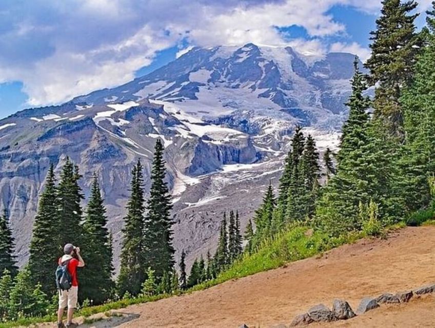 From Seattle: Full-Day Mt Rainier National Park Tour - Entering Mount Rainier through forests and river valleys