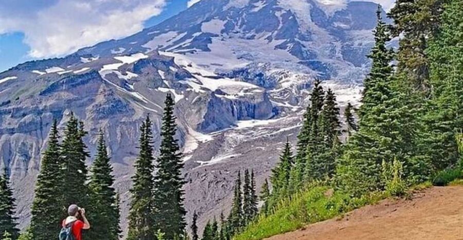 From Seattle: Full-Day Mt Rainier National Park Tour - Christine Falls and the final scenic drive