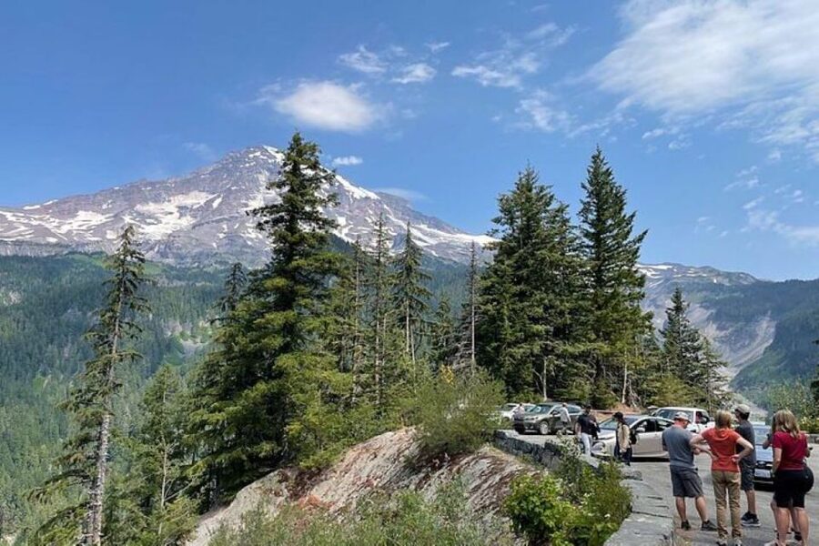 From Seattle: Full-Day Mt Rainier National Park Tour - Who should book this tour?