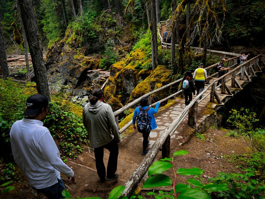 From Seattle: Mount Rainier National Park Guided Tour - Key points to know before booking