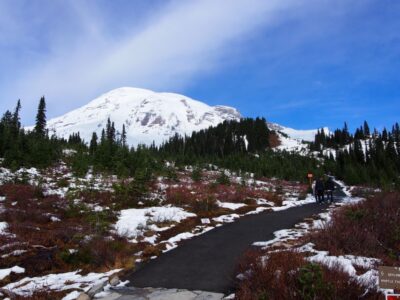 From Seattle: Mount Rainier National Park Guided Tour